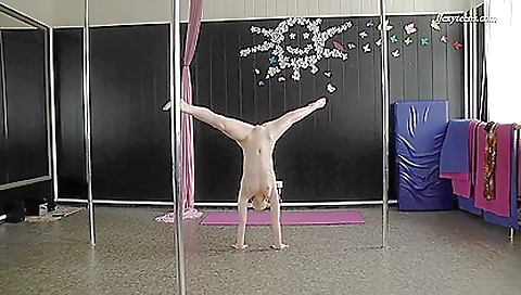 Sexy brunette sucks and fucks